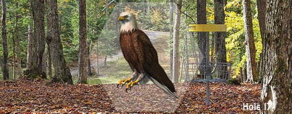 sabattus disc golf eagle course header